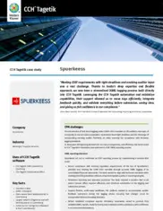 Preview of the Spuerkeess Case Study