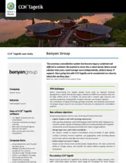 Preview of the Banyan Group Case Study