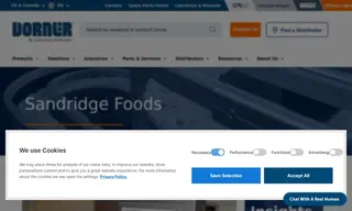 Preview of the Sandridge Foods Case Study