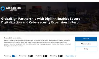 Preview of the DigiLink Case Study