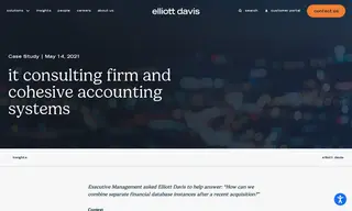 Preview of the IT consulting firm Case Study