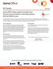 Preview of the NY Studio LLC Case Study