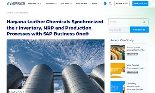 Preview of the Haryana Leather Chemicals Case Study