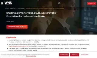 Preview of the Global Insurance Firms Case Study