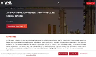 Preview of the Energy Retailers Case Study