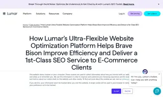 Preview of the Brave Bison Case Study