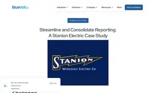 Preview of the Stanion Wholesale Electric Co Case Study