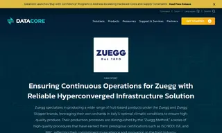 Preview of the Zuegg Case Study