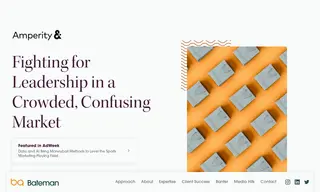 Preview of the Amperity Case Study
