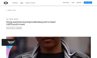 Preview of the The Trevor Project Case Study