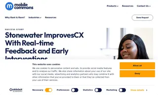 Preview of the Stonewater Case Study