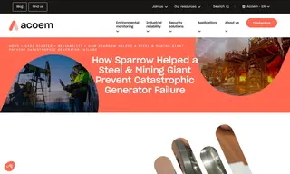 Preview of the Leading Brazilian Steel and Mining Company Case Study