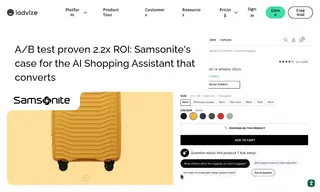 Preview of the Samsonite Case Study