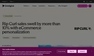 Preview of the Rip Curl Case Study