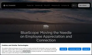 Preview of the BlueScope Case Study