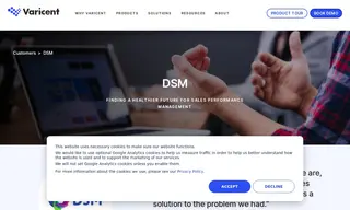 Preview of the DSM Case Study