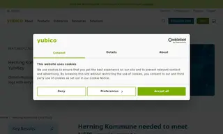 Preview of the Herning Kommune Case Study