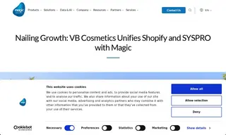 Preview of the VB Cosmetics, Inc Case Study