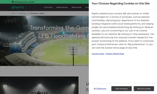 Preview of the Pakistan Cricket Board (PCB) Case Study