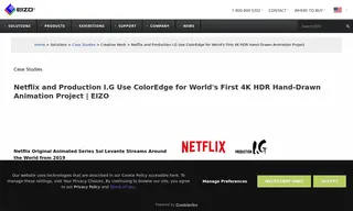 Preview of the Netflix Case Study