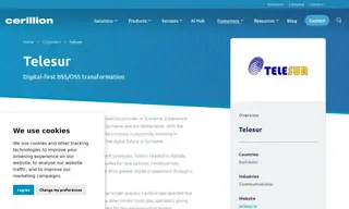 Preview of the TeleSur Case Study