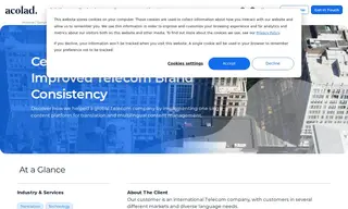 Preview of the International Telecom Company Case Study