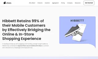 Preview of the Hibbett Sports Case Study