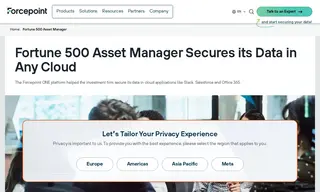 Preview of the Fortune 500 Asset Manager Case Study