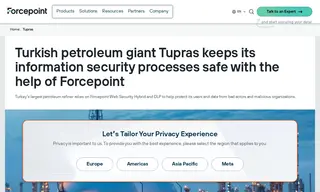Preview of the Tüpraş Case Study