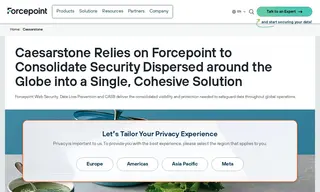 Preview of the Caesarstone Case Study