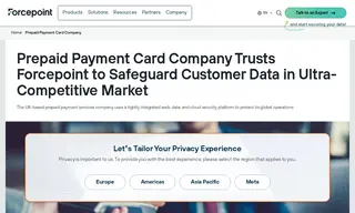 Preview of the Prepaid Payment Card Company Case Study