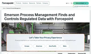 Preview of the Emerson Process Management Case Study