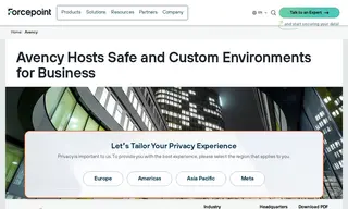 Preview of the Avency Case Study