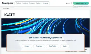Preview of the iGATE Case Study
