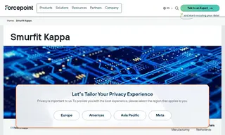 Preview of the Smurfit Kappa Case Study