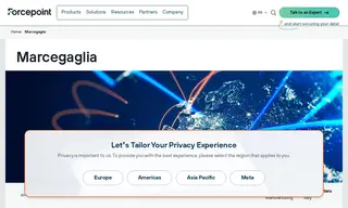 Preview of the Marcegaglia Case Study