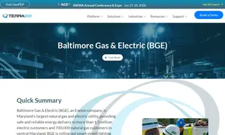 Preview of the Baltimore Gas & Electric (bge) Case Study