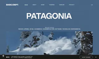 Preview of the Patagonia Case Study