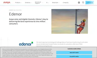 Preview of the Edenor Case Study