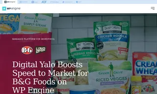 Preview of the B&G Foods, Inc Case Study