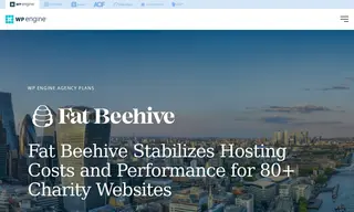 Preview of the Fat Beehive Case Study
