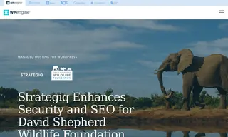 Preview of the David Shepherd Wildlife Foundation Case Study