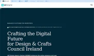 Preview of the Design & Crafts Council Ireland Case Study