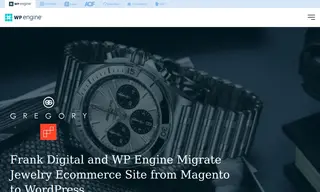 Preview of the Gregory Jewellers Case Study