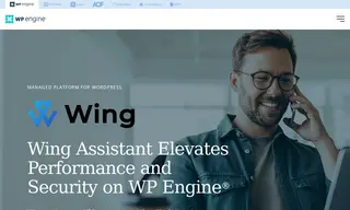 Preview of the Wing Assistant Case Study