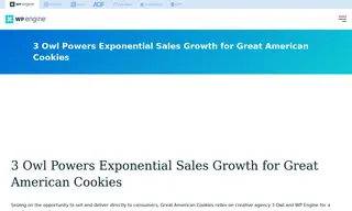 Preview of the Great American Cookies Case Study