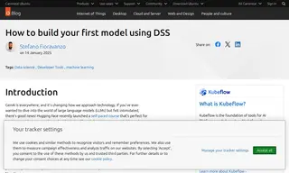 Preview of the Canonical Case Study