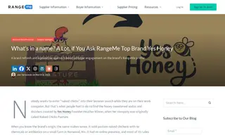 Preview of the Yes Honey Case Study