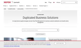 Preview of the Duplicated Business Solutions Case Study