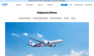 Preview of the Malaysia Airlines Case Study